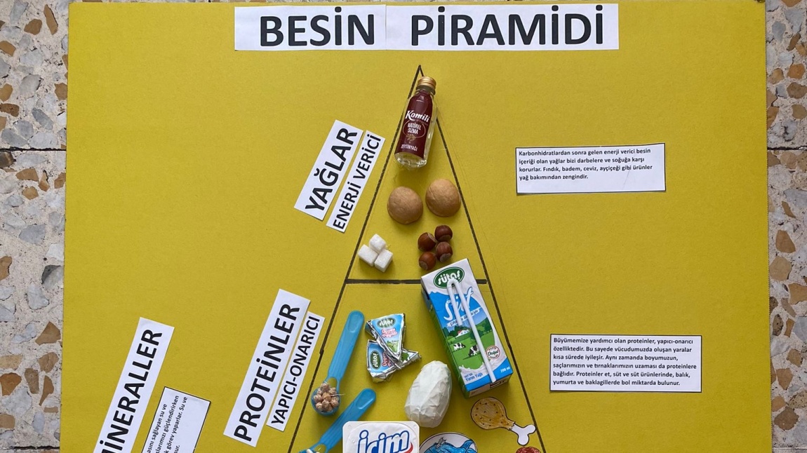 BESİN PİRAMİDİ